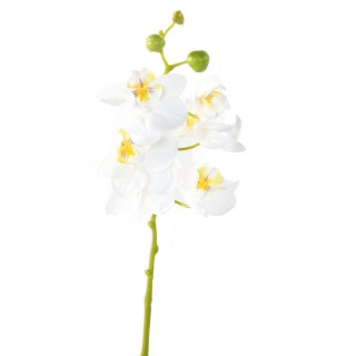 Künstliche Phalaenopsis Orchidee, Weiss, 60 cm