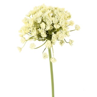 Künstliche Wilde Möhre, weiss, 54cm