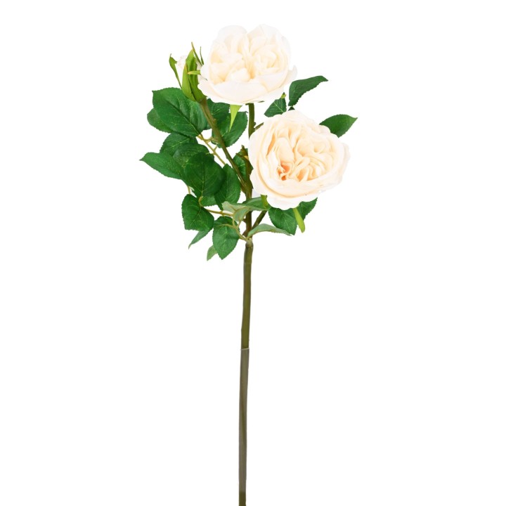 Künstliche Englische Rose Weiss - 55 cm für stilvolle Akzente