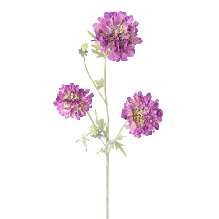 Kunst-Scabiosenblume, Lila, 75cm