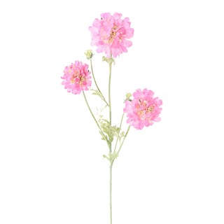 Künstliche Scabiose-Blume Pink 75cm