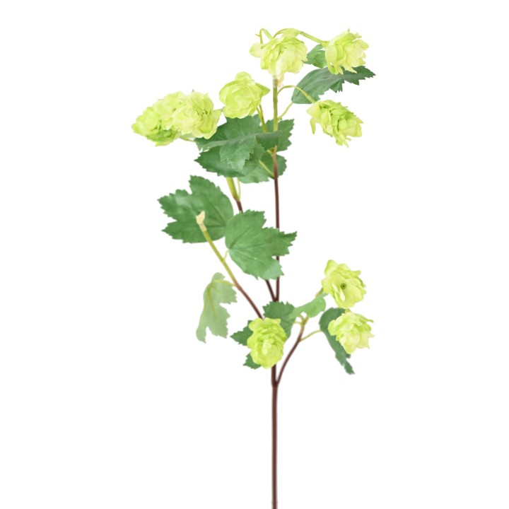Künstlicher Hopfenzweig 76cm Grün
