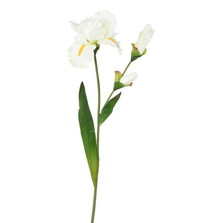 Dekorative Kunst-Iris, Weiss, 74 cm – Dauerhaft Schön und Wartungsfrei