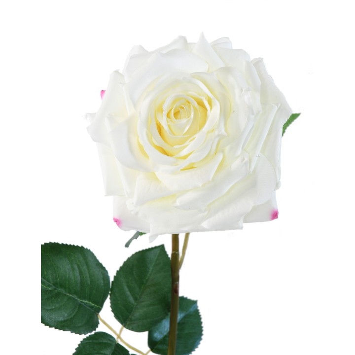 Künstliche weisse Rose 74cm - Pflegeleicht und elegant