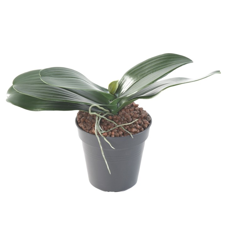 Phalaenopsis Kunstblattzweig, 17cm, Grün