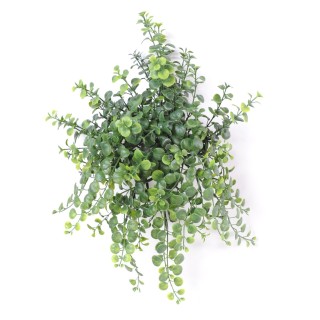 Künstliche Peperomia Ampelpflanze UV-beständig, 40cm