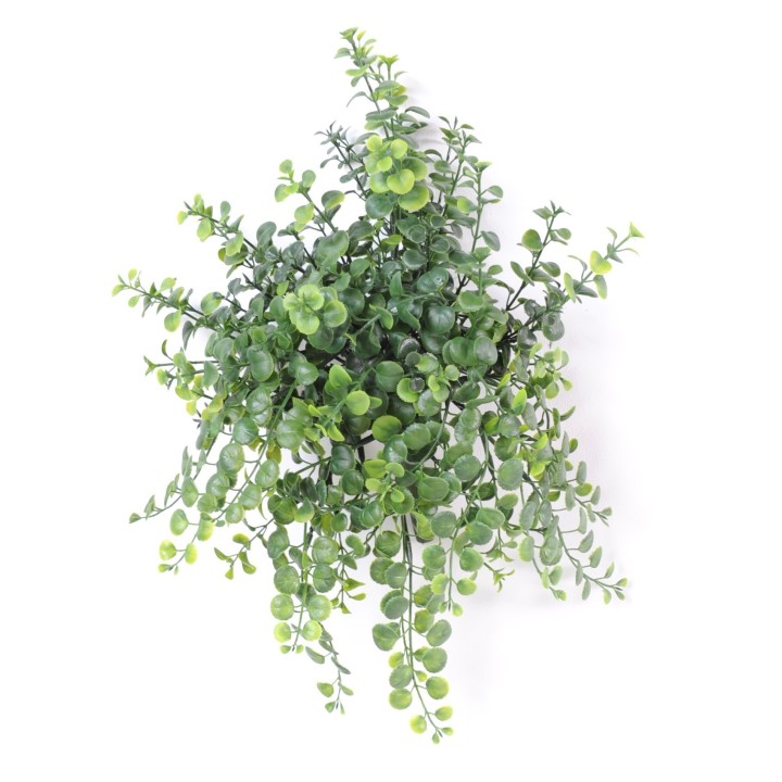 Künstliche Peperomia Ampelpflanze UV-beständig, 40cm