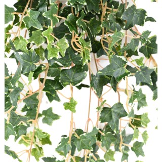 Künstlicher Efeu Hängepflanze, Bunt, 70cm