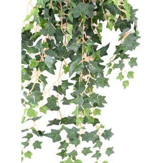 Dekorative Efeu Hängepflanze 70cm