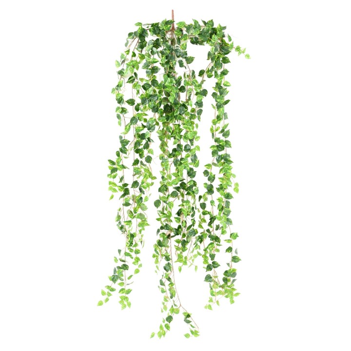 Künstliche Hängepflanze Pothos 200cm Bunt