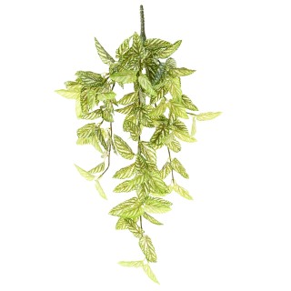 Künstliche Hängepflanze Strobilanthes Roter Efeu, 70cm