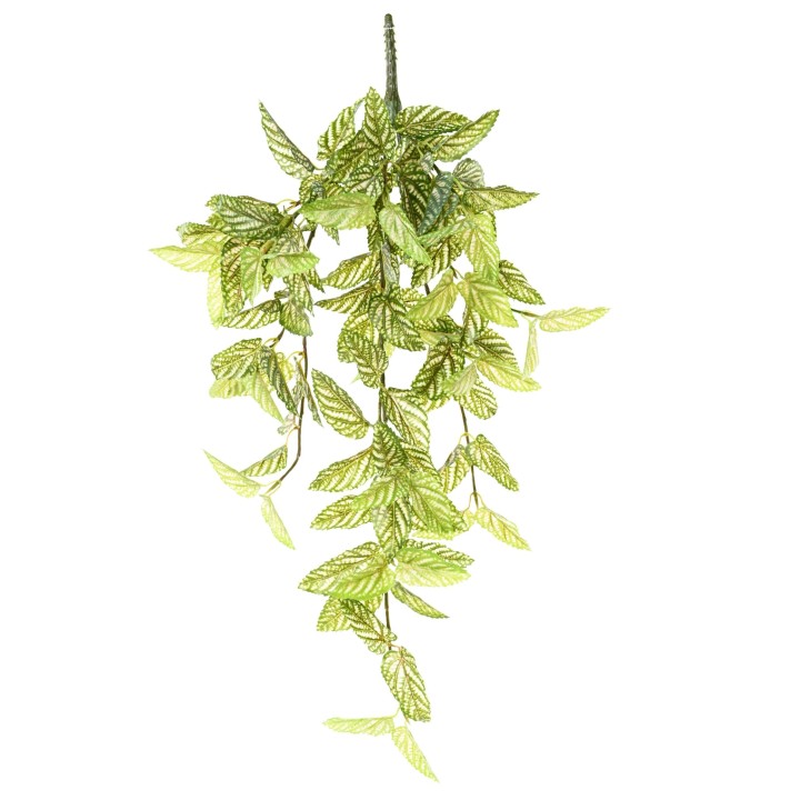 Künstliche Hängepflanze Strobilanthes Roter Efeu, 70cm