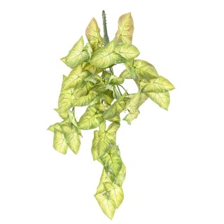 Premium Syngonium Hängepflanze Kunstpflanze - 60 cm