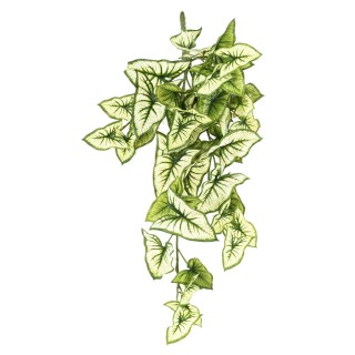 Künstlicher Syngonium Hängebusch 60cm