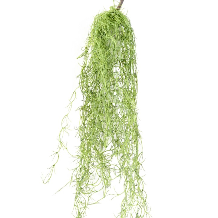 Künstliche Tillandsia Hängepflanze 80cm