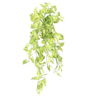 Künstlicher Syngonium Mini Hängebusch 80cm