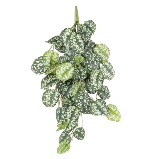 Scindapsus Hängepflanze Künstlich - 75cm