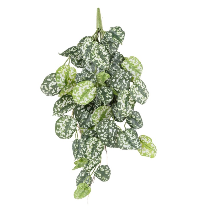 Scindapsus Hängepflanze Künstlich - 75cm