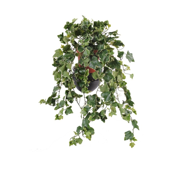 Künstliche Efeu-Hängepflanze Naturgetreu 75cm