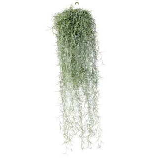 Künstliche Tillandsia Spanisches Moos Hängepflanze 60cm