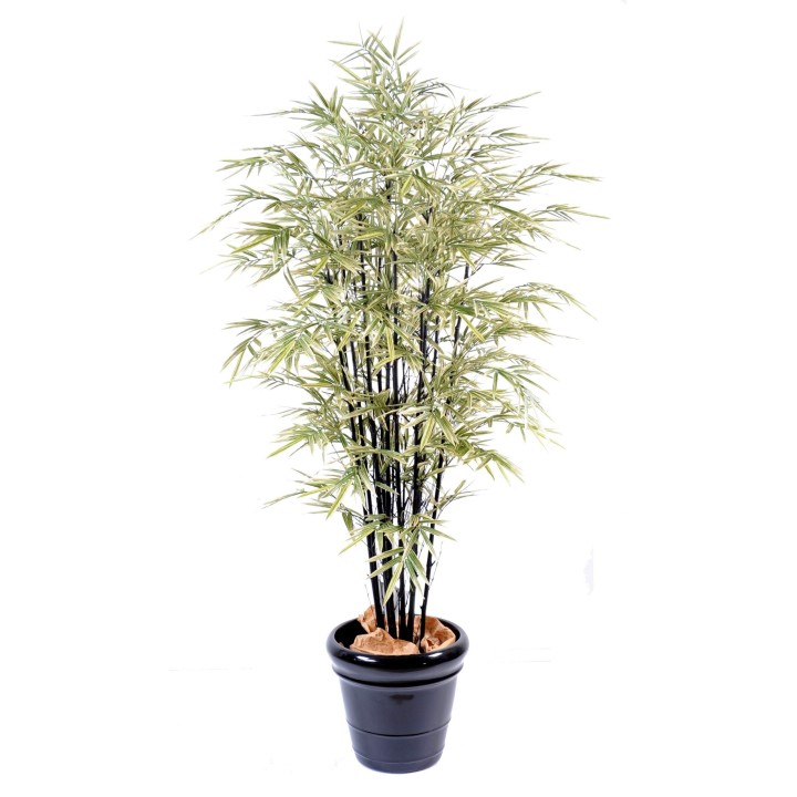 Künstlicher Shiroshima Bambus Schwarz, 160cm, Grün-Weiss