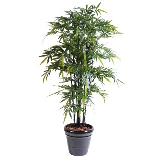Künstlicher Schwarzer Bambus 210cm, Dunkelgrünes Blattwerk