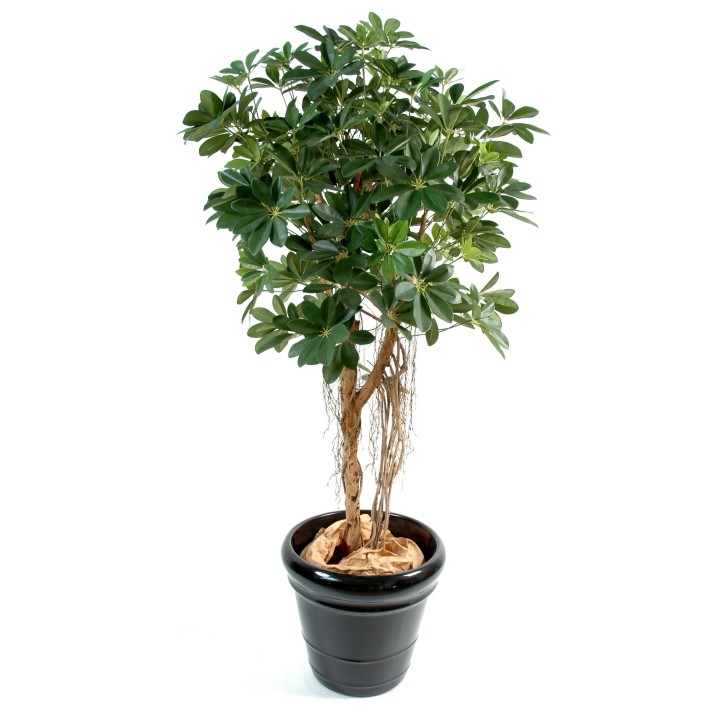 Künstlicher Schefflera Busch, 90 cm, naturgetreu grün