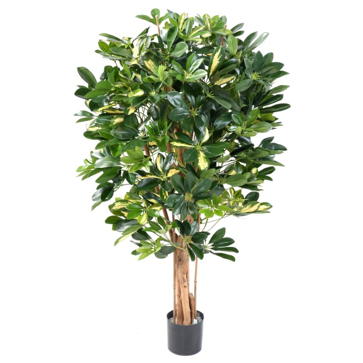 Künstlicher Schefflera Baum 90cm Grün