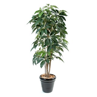 Künstlicher Schefflera Busch - 90 cm Hoch - Lebendiges Grün
