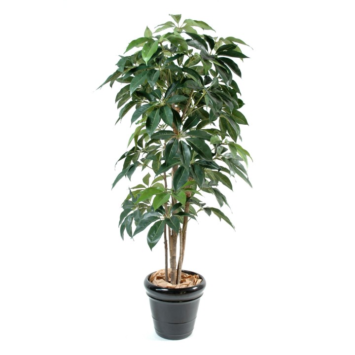 Künstlicher Schefflera Busch - 90 cm Hoch - Lebendiges Grün