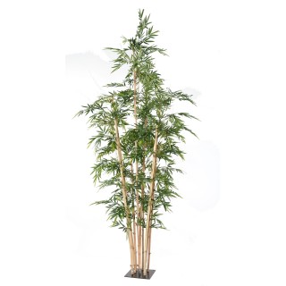 Riesen-Kunstbambus – 400 cm hoch, naturgrün