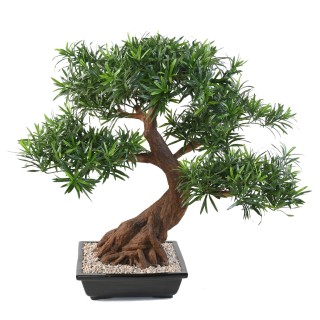 Hochwertiger Kunst-Podocarpus, 78cm, lebhaft grün