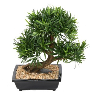 Künstlicher Podocarpus 50cm Hoch Grün