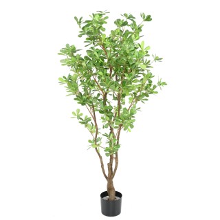 Naturgetreuer Kunst-Pittosporum Baum - 150cm Grün