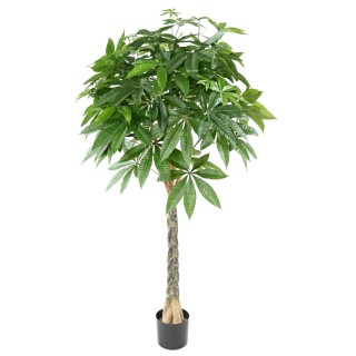 Künstlicher Pachira Baum - 180cm Hoch, Naturgetreu Grün