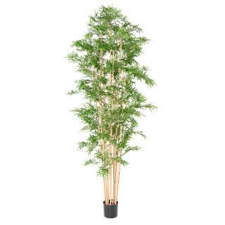 Exotischer Kunstbambus 270cm Hoch Grün