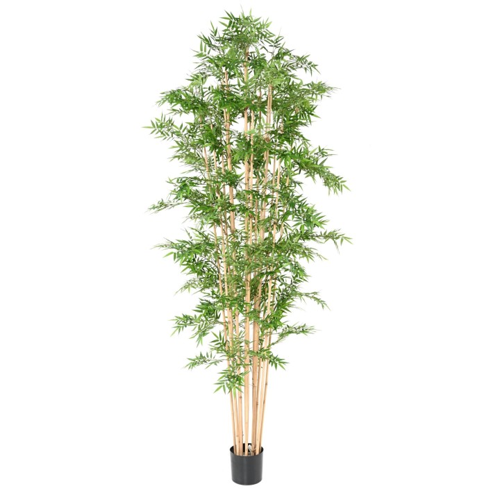 Exotischer Kunstbambus 270cm Hoch Grün