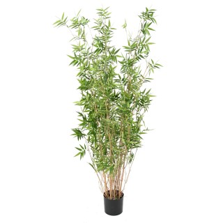 Orientalischer Kunstbambus - 160cm - Naturgetreu Grün