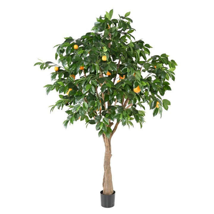 Grosser Kunst-Orangenbaum mit Fruechten, 250 cm