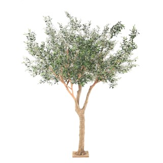 Grosser Kunst-Olivenbaum 370cm - Authentisch Silbergrün