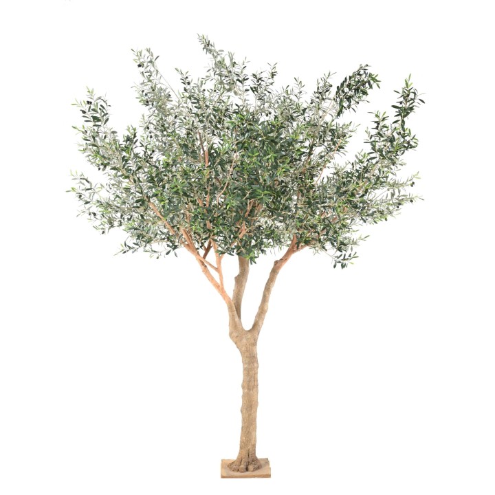 Grosser Kunst-Olivenbaum 370cm - Authentisch Silbergrün