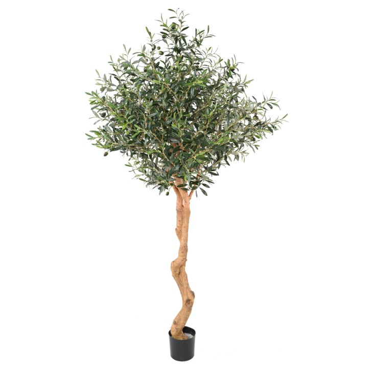 Künstlicher Olivenbaum 200cm - Grüne Eleganz