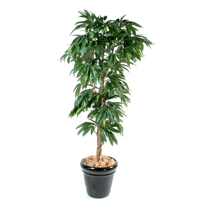 Detaillierter Kunst-Mangobaum 150cm - Lebendiges Grün