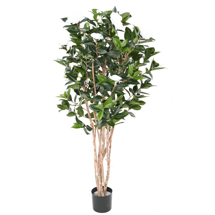Künstlicher Kamelienbaum, 160 cm, weisse Blüten