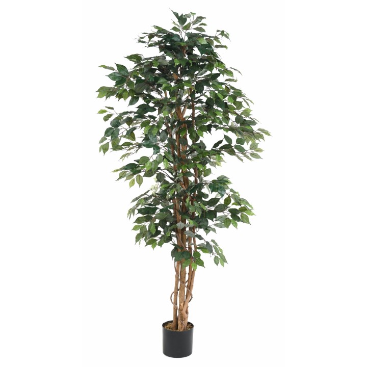 Künstlicher Ficus 190 cm – Naturgetreues Grün