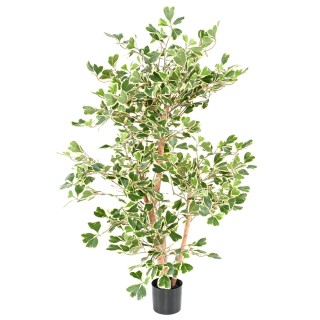 Künstlicher Ficus Triangularis, 120 cm, Grün