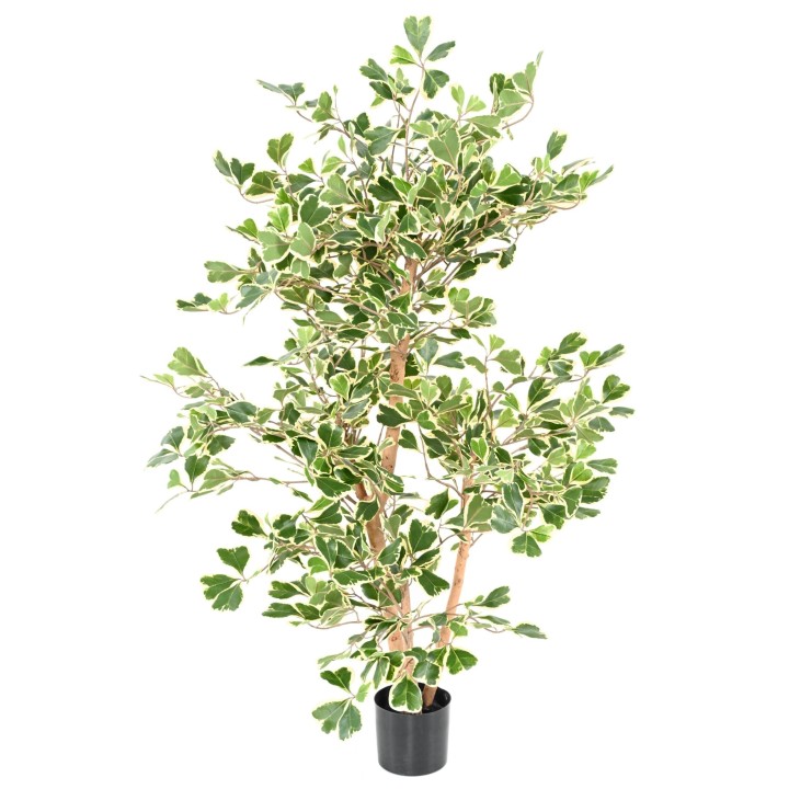 Künstlicher Ficus Triangularis, 120 cm, Grün