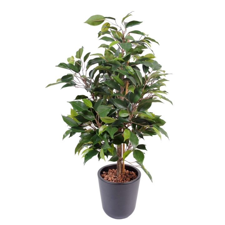 Ficus Natasja Kunstpflanze - 60 cm, lebensechtes Grün