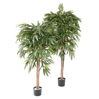 Künstlicher Ficus Longifolia Kunstbaum 180 cm Grün