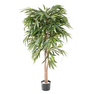 Künstlicher Ficus Longifolia - 160 cm - Lebensechtes Grün